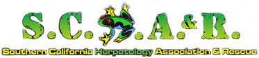 Southern California Herpetology Association & Rescue Logo